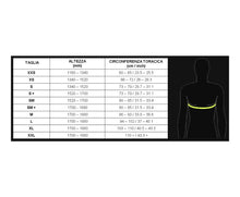 Load image into Gallery viewer, Bengio AB7 Rib Protector